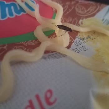 İndomie Spesiyal Hazır Noodle'da Böcek Tespiti
