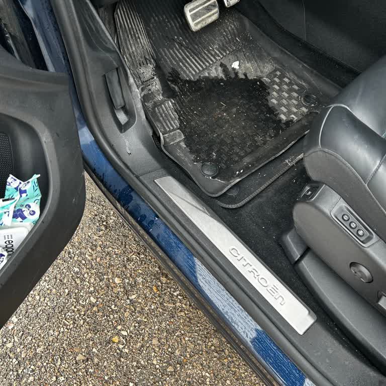 Sunroof Kanalının Tıkanması Nedeniyle Şoför Tarafı Paspastan Su Alması