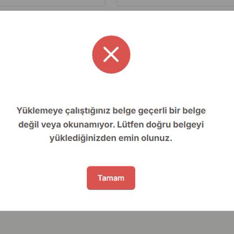 Türk Eğitim Vakfı Başvuru Sisteminde Geçerli PDF Transkriptim Reddediliyor