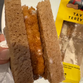 Küflü Tavuklu Sandviçte Sağlık Riski Ve Denetim Eksikliği