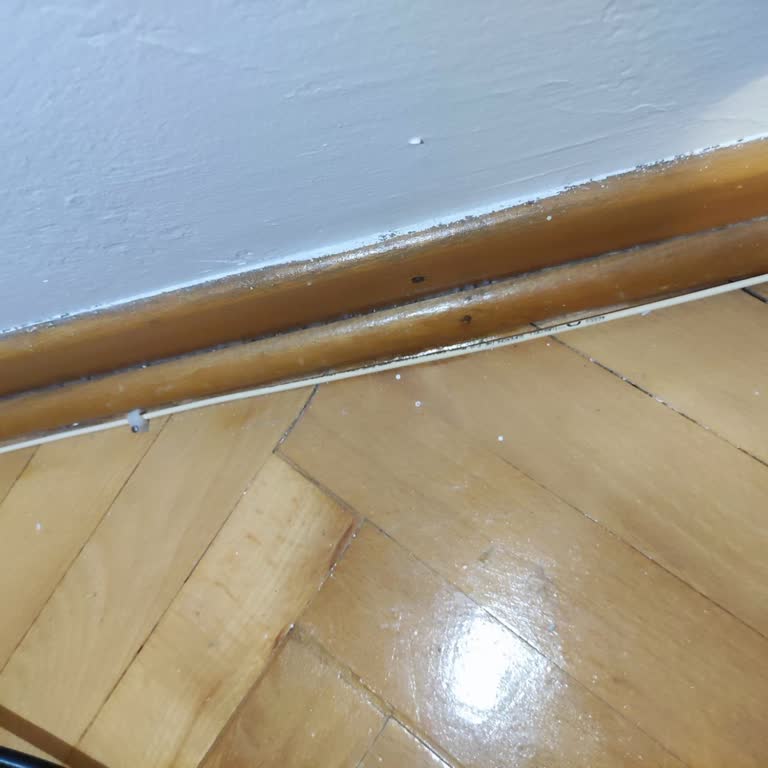 Taşınma Sonrası İnternet Gelmedi, Teknik Randevu Yok Ve Ücret Ödendi