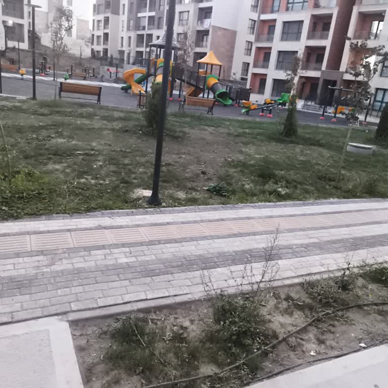 Başakşehir'de Sokak Hayvanları İçin Kulübe Ve Mama Desteği Talebi