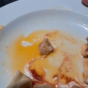Dondurulmuş Mantı Ürününde Yara Bandı Bulunması Ve Markanın Sessizliği