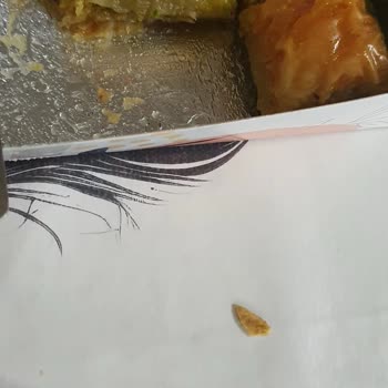 Baklava’da Aşırı Sert Antep Fıstığı Kabuğu Diş Ve Sağlık Tehlikesi Oluşturdu