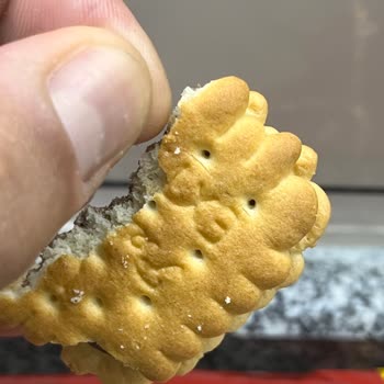 Ülker Bisküvi İçinde Saç Tespiti Hijyen İhlali