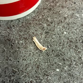 Bursa Burger King Nugget’inde Çocuğa Tehlike Yaratan Kırık Kemik Parçası