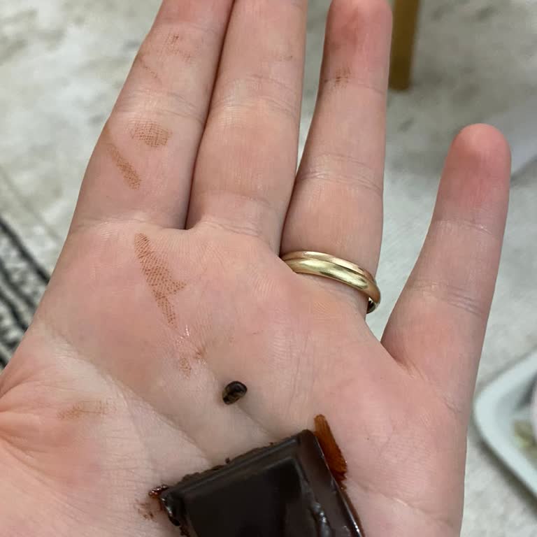 Kahve Dünyası Çikolatasında Plastik Parça Ve Diş Acısı