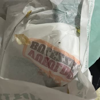 Ekinoba Salon Burger Şubesinde Hijyen Sorunu: Isırılmış Nugget Ve Paketten Sinek