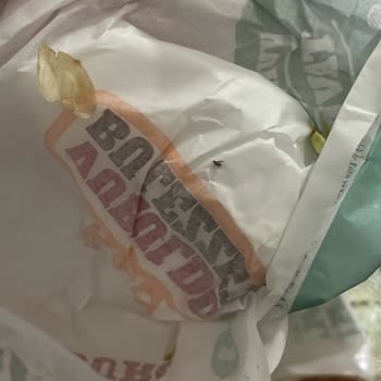 Ekinoba Salon Burger Şubesinde Hijyen Sorunu: Isırılmış Nugget Ve Paketten Sinek