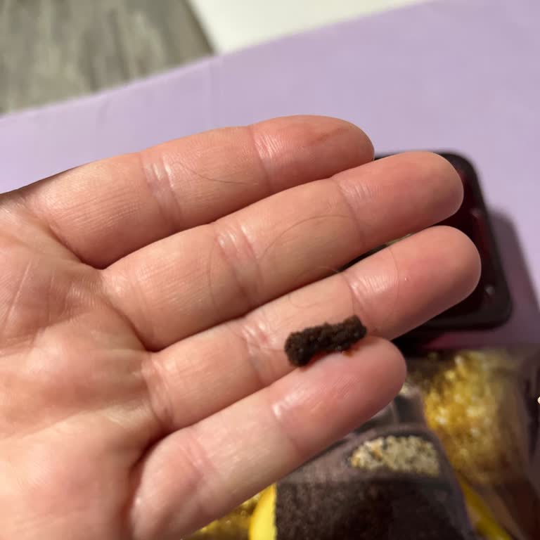 İsra Market’ten Alınan Eti Browni Kekinde Saç Teli