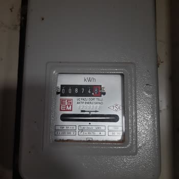 Fahiş Elektrik Faturası İçin Acil İnceleme Talebi