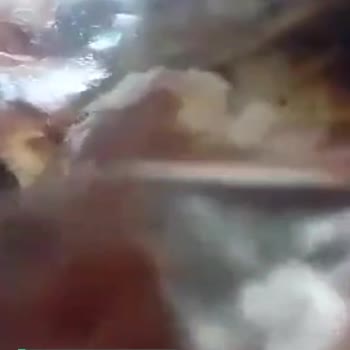 Eti Topkek'te Kurt Çıkması