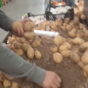 Koop Market Tarlayı Markete Taşımış