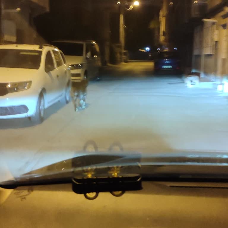 Samanlı’da Sokak Köpekleri Güvenlik Sorunu Ve Acil Çözüm Talebi