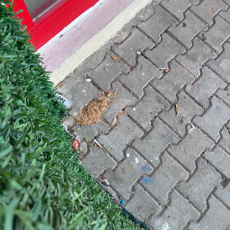 Şok Market Şubesinin Girişinde Hijyen Sorunu Ve Çevre Kirliliği