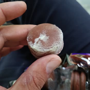 Luppo Sandviç Kekinde Beyaz Küf: Hijyen Ve Sağlık Riski