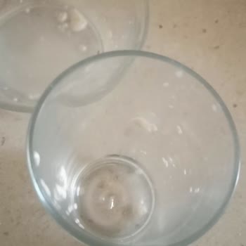 Uzun Son Kullanma Tarihli Sütte Pıhtılaşma Ve Müşteri Hizmetleri Cevapsız