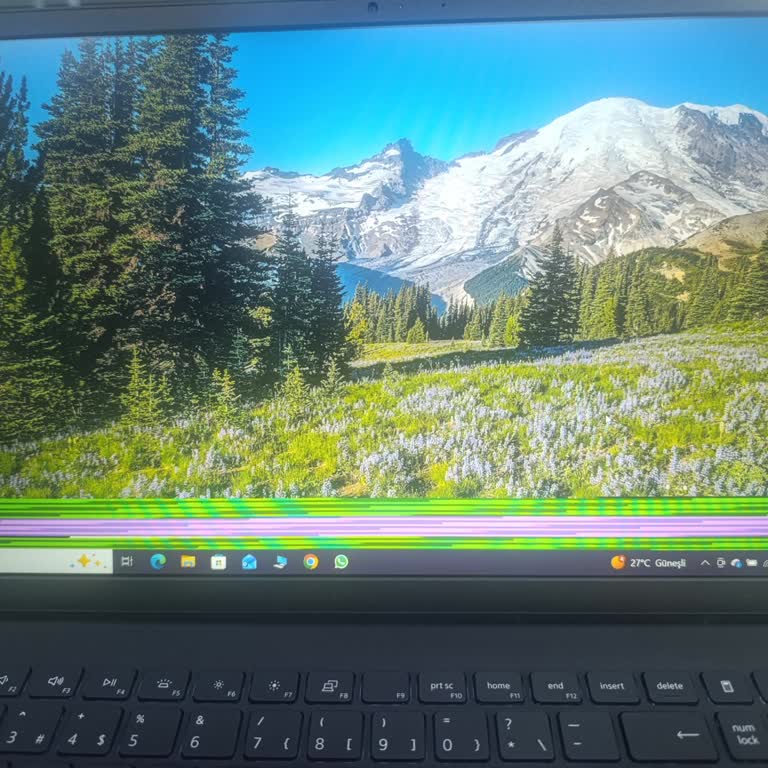Yeni Dell Vostro’da Ekran Çizgileri Ve Garanti Servisi Erişilememesi