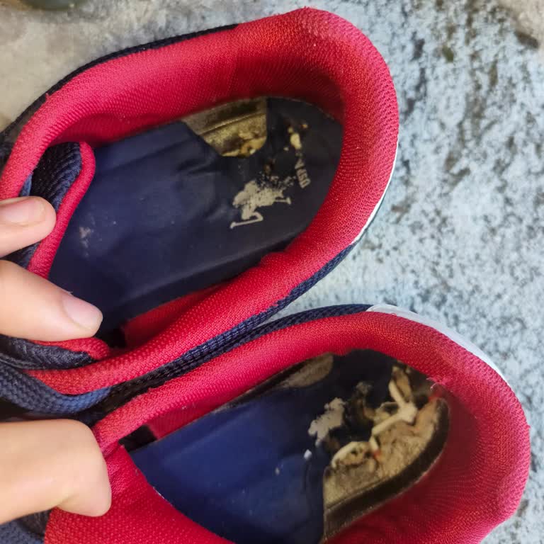 U. S. Polo Assn. Kares Sneaker İç Taban Yırtılması Ve Hepsiburada Sorumluluğu