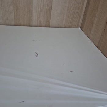 Hasarlı Nakliyesi, Ek Ücret Baskısı Ve Armut.com'dan Cevapsızlık