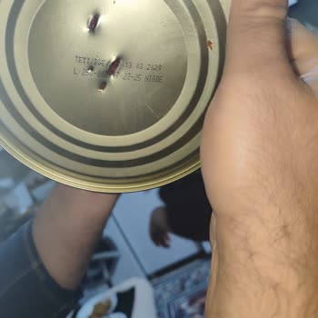 Tukaş Domates Salçasında Uzun Kıl Ve Siyah Renk, Hijyen İhlali Ve Yetersiz Telafi