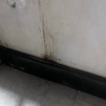 Kurulum Hatası Nedeniyle Çamaşır Makinesi Sızıntısı Ve Duvar Hasarı Tazmin Talebi