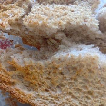 UNO Ekmeğinde Böcek Tespiti: Hijyen Ve Güven Sorunu