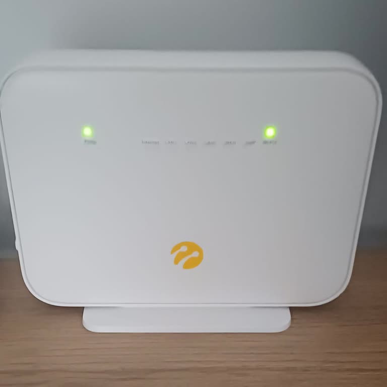 Beş Gün Süren İnternet Kesintisi Ve İki Kişilik Saha Ekibi Eksikliği