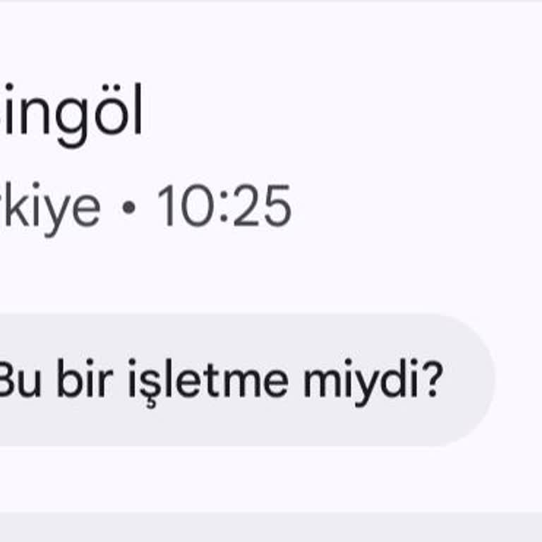 Ön Bildirimime Rağmen Otobüs Duraklamadı, Personel Kaba Ve Suçlayıcı Davrandı