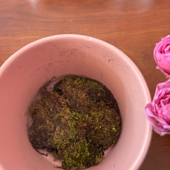 Çiçek Sepeti Görseldeki Aranjmana Uygun Olmayan Ürün Gönderimi Ve Cevap Yok