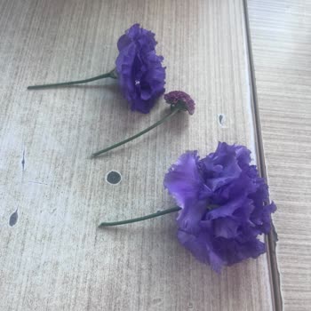 Teslim Edilmediği Gösterilen Siparişte Yanlış Ürün Ve Hasarlı Çiçek