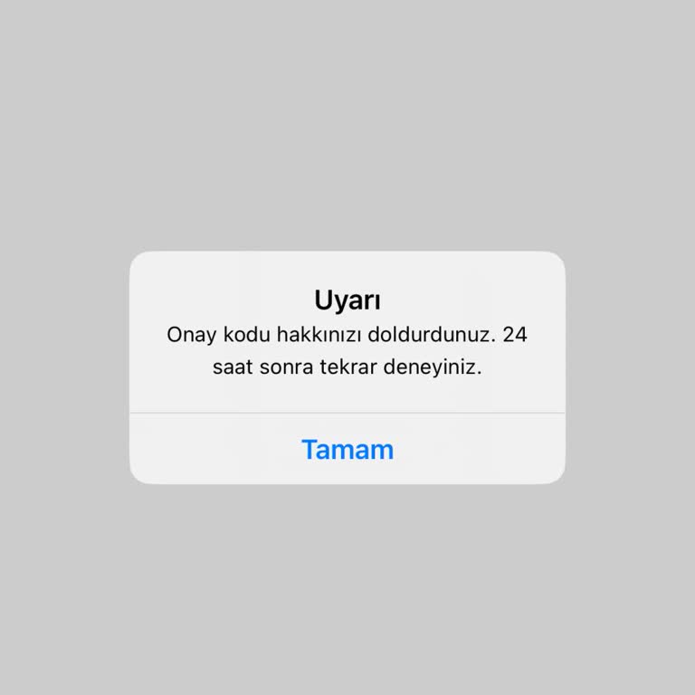 Eski Telefon Numarası Nedeniyle Hesaba Giriş Engeli Ve Destek Sorunu