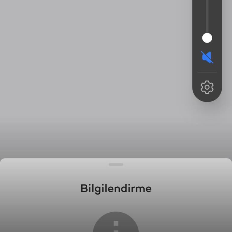 TP2 Fon Satışı Mobil Ve Şubede Engellendi
