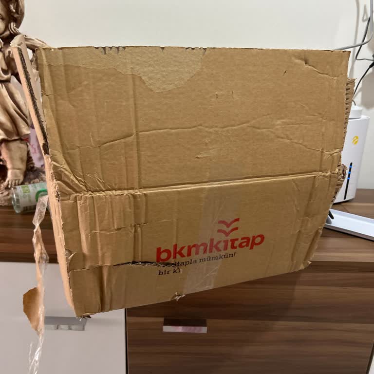 Hasarlı Kitaplar Ve Yırtık Kargo Paketi