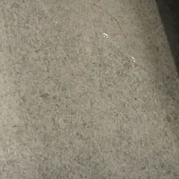 Kapağından Sürekli Su Sızdıran Çamaşır Makinesi Ve Garanti Uzatma Sorunu Nedeniyle Değişim Talebi