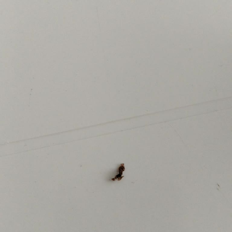 Eti Popkek Bitter Ürünün İçindeki Kahverengi Cisim Ve Kötü Tat Sağlık Sorunu
