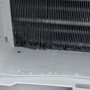 Aynı Seri Numaralı Kirli Ve Kullanılmış Kurutma Makinesi Verildi