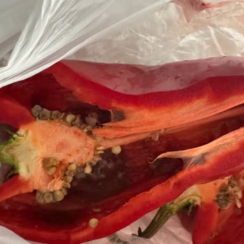 Migros Hemen Siparişindeki Kapya Biberlerin Çürüklüğü Ve Ücret İadesi Talebi