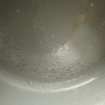 Neoflam Tencere Setinde Soyulma Ve Sağlık Endişesi, Garanti Kapsamında Değişim Talebi