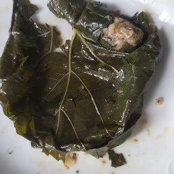 Yurtalan Asma Yaprağı Sertliği Ve Yırtıklığı, Kalite Sorunu