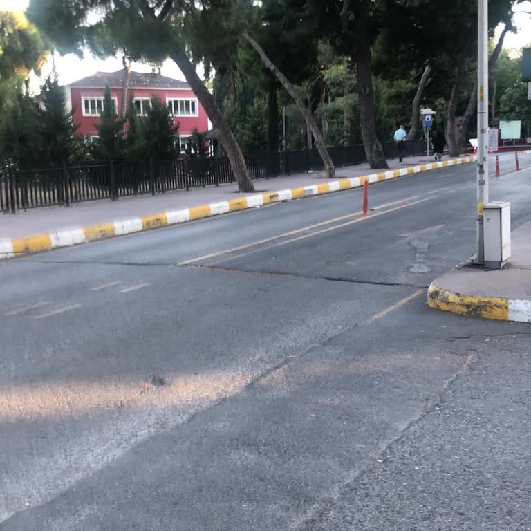 Mazhar Osman Ruh Ve Sinir Hastalıkları Zorla Alıkonulan Nişanlımın Hastane Tutulması