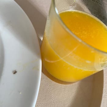 Portakal Suyunda Böcek Görüldü, Hijyen Endişesi