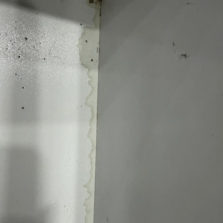 Yetkili Servisin Hatalı Montajı Nedeniyle Davlumbaz Düşerek Güvenlik Tehlikesi Oluşturdu