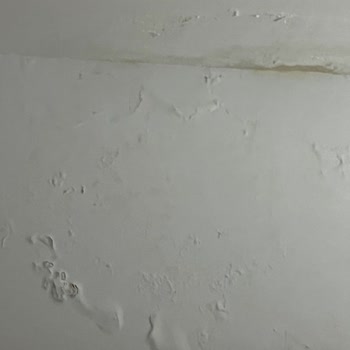 Doğa Sigorta'da Su Baskını Hasarının Kapsam Dışı Sayılması Ve İletişim Eksikliği