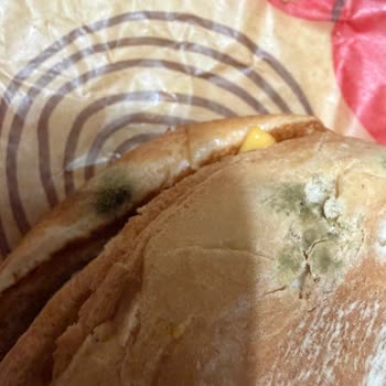 Burger King Çeşme Şubesinde Küflü Hamburger Ve Hijyen İhmali