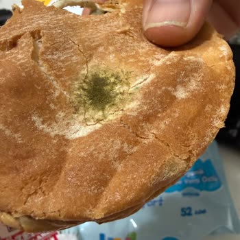 Burger King Çeşme Şubesinde Küflü Hamburger Ve Hijyen İhmali