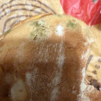 Burger King Çeşme Şubesinde Küflü Hamburger Ve Hijyen İhmali