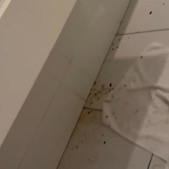İzinsiz Oda Girişi Ve Hijyen Sorunları: Bendis Beach Hotel’de Mahremiyet İhlali