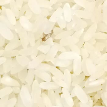Magim Gross Markette Satılan Pirinçte Böcek Keşfi