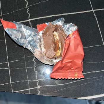 Bursa Çalı Elit Kuruyemiş Çikolatanın Kurtlanması